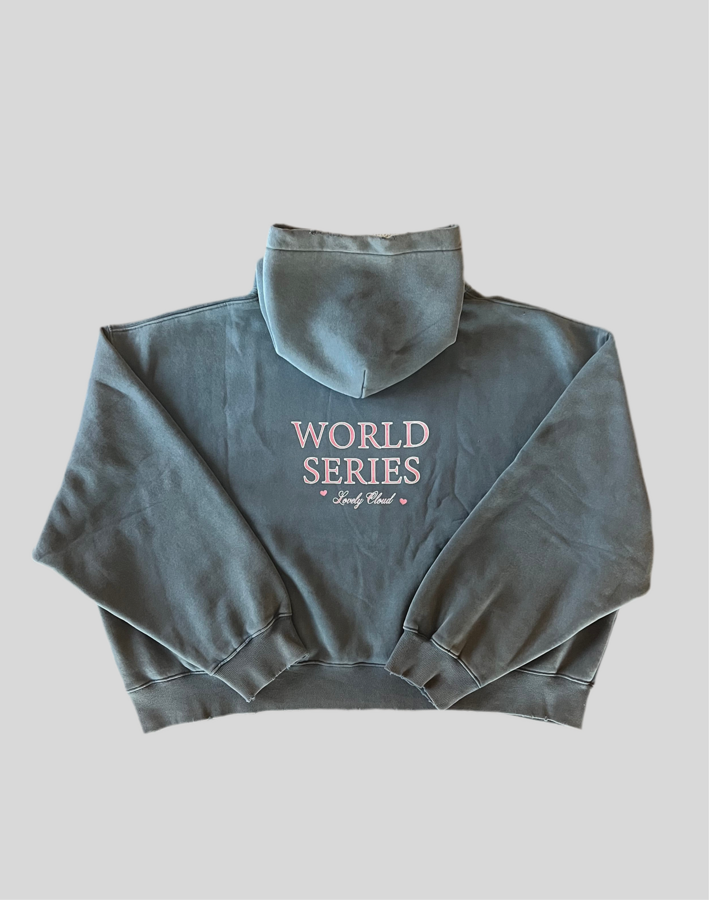 Hoodie Grand Prix Series Lovely Cloud