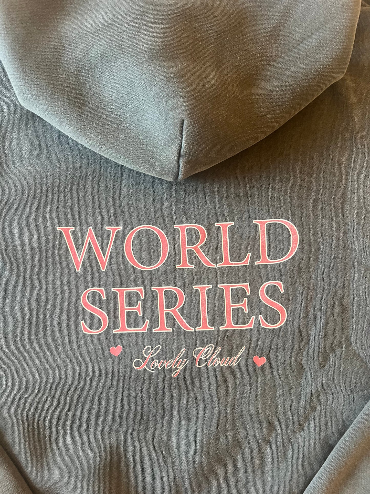 Hoodie Grand Prix Series Lovely Cloud