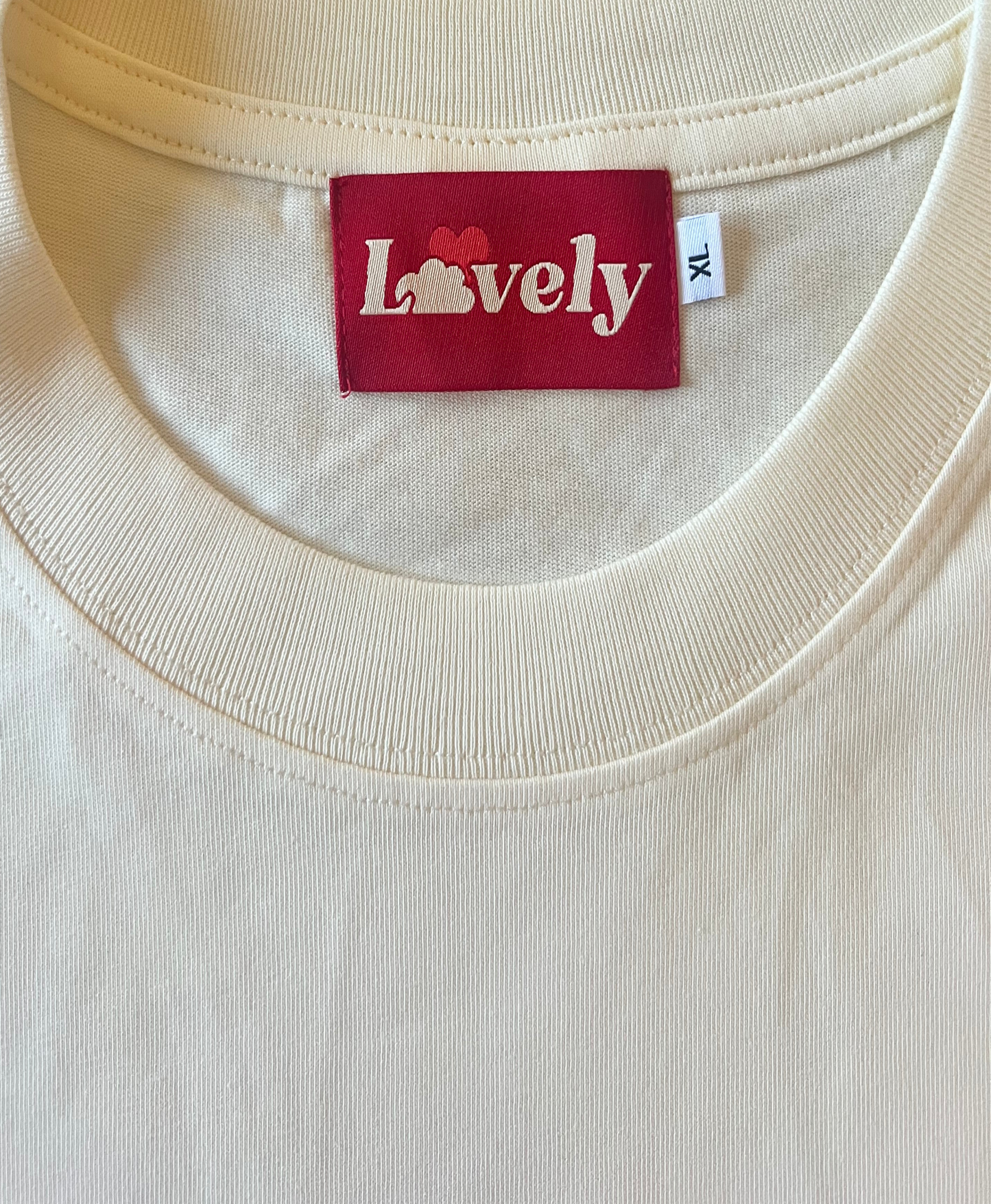 Cropped T-Shirt Speed Thrills Lovely Cloud